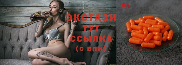 гидра Гусев