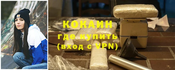 гидра Гусев