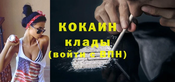 твердый Дмитровск