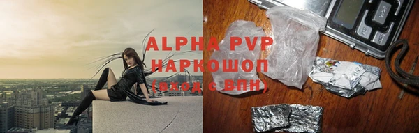 гидра Гусев