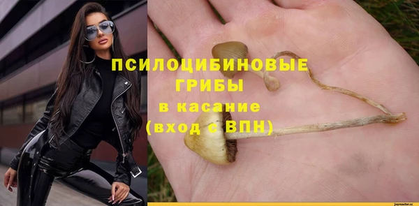 твердый Гусь-Хрустальный