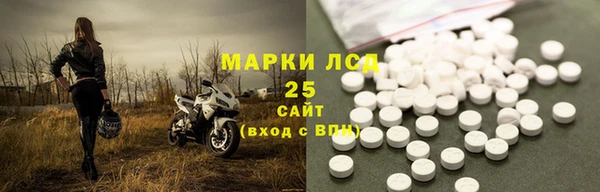 гидра Гусев