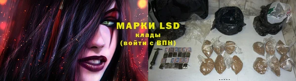 гидра Гусев