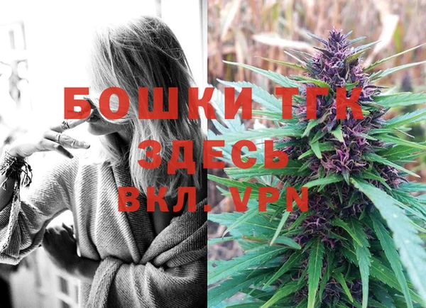 гидра Гусев