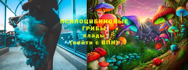 гидра Гусев