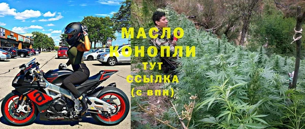 гидра Гусев