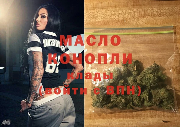 гидра Гусев