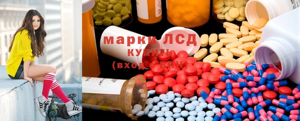 гидра Гусев