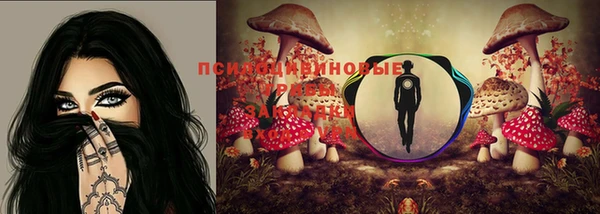 стафф Горно-Алтайск