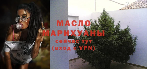 гидра Гусев