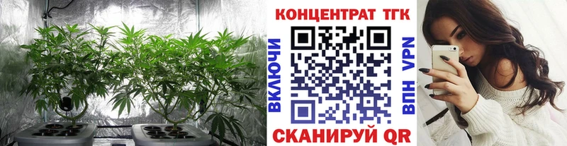 Дистиллят ТГК Wax  Купить где  Каменногорск 
