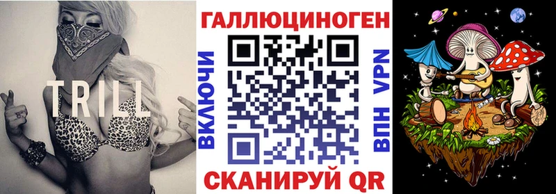 Галлюциногенные грибы Psilocybe  Купить  Каменногорск 
